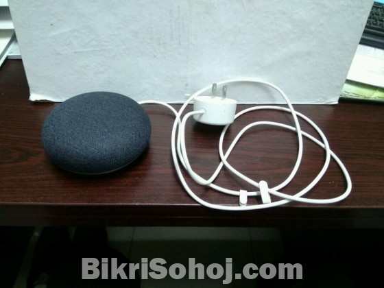 Google Home Mini